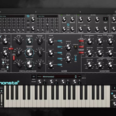 Minimonsta2 - Slo Funk