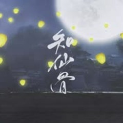 【黑崎】知仙骨（天官赐福同人）