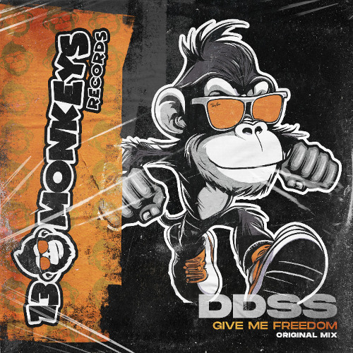 DDSS - Give Me  Freedom (Original Mix)