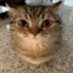 𝑷𝐫𝖆ʏ𝑙ɪ𝗌𝔱 ²