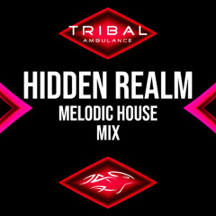 Hidden Realm [Melodic House Mix]