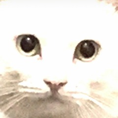 Depresión Adolescente