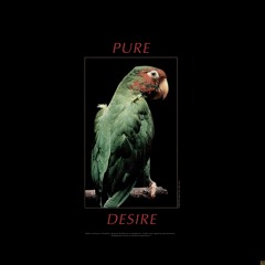 Pure Desire Feat. Ellie Lust [Archfiend Records]