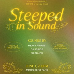 Closing set for Steeped in Sounds anniversary in McGolrick Park