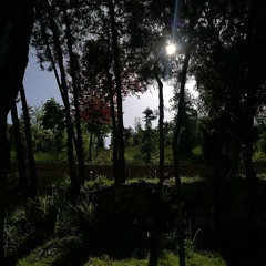 Omid Nemati - Sedayem Kon