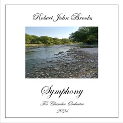 Symphony for Chamber Orchestra - 4th Movt: Finale