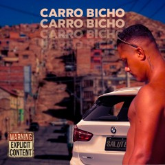 Salute - CARRO BICHO (prod. Suntizil)