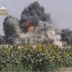 Cheb terro - Al-Fallujah