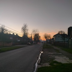 De la carne muerta nace la vida