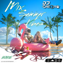 Mix Summer Vibes - Dj Checho 2025