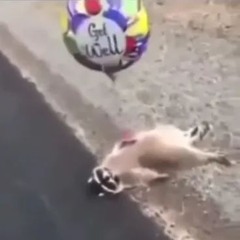 just don't