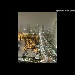 Chcebycnext - YSL