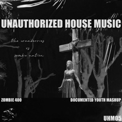 [UHM05] Zombie 400 (Documented Youth Mashup) - The Cranberries vs. Zombie Nation FREE DL