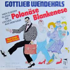 Polonäse Blankenese (TERROR REMIX) (FUN TRACK)