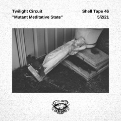 Shell Tape 46 - Twilight Circuit - "Mutant Meditative State"