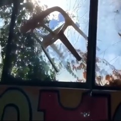 impossible flower_2/18/21