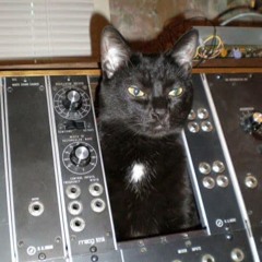 Life In The US (New)