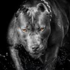 Mcpoder Feat Kupal - Musica De Barrio