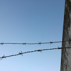 Los Gritos Del Silencio I (2021)