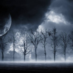 The Dark Forest Hypothesis