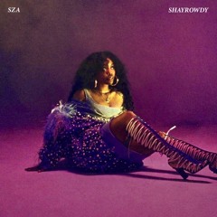 Hit Different & Good Days - Shays remix