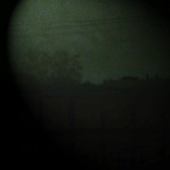 Montreal Solidarity Drone 3