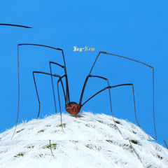 LONGLEGS (Prod. mosen)