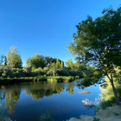 LF - Los animales del Soto