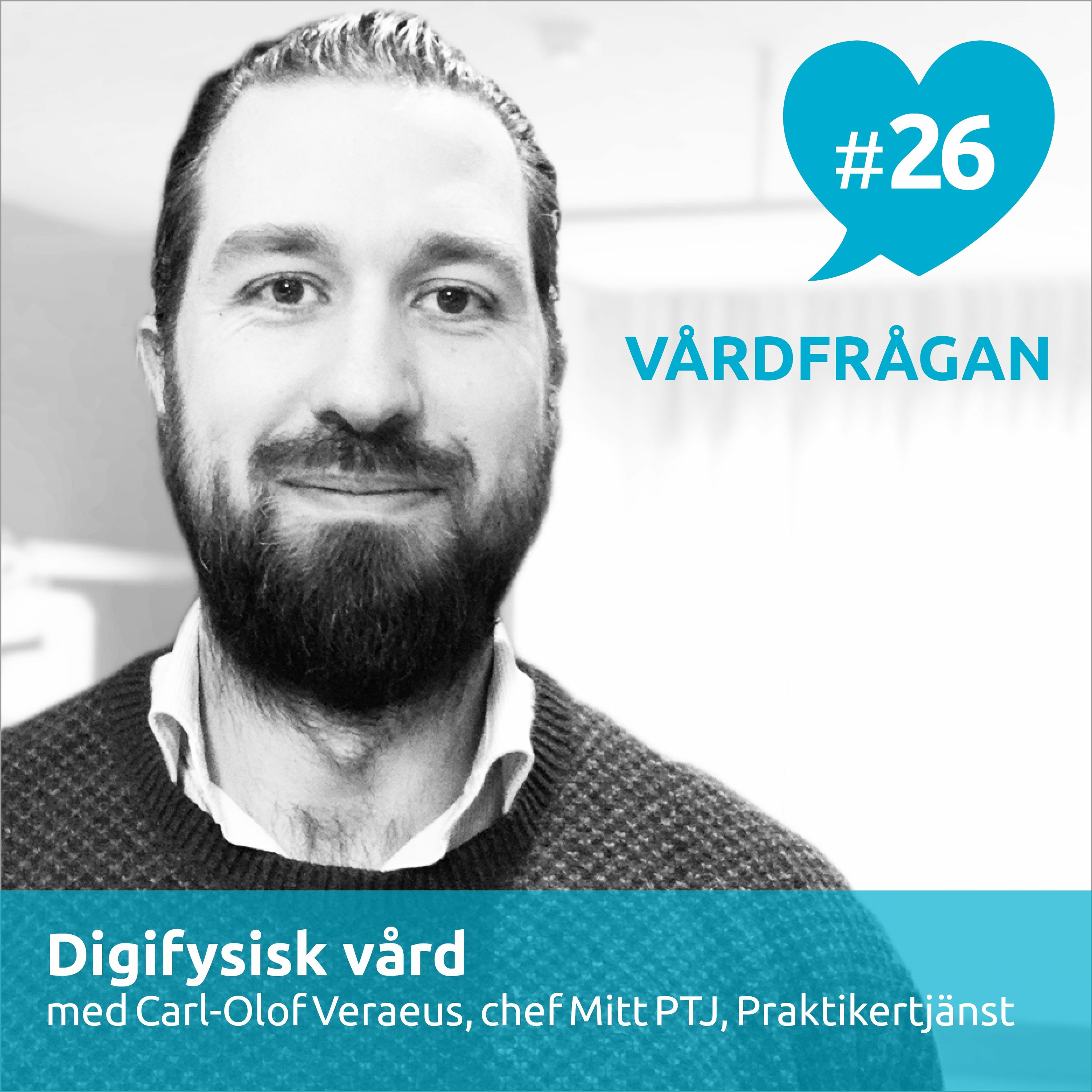 Vårdfrågan