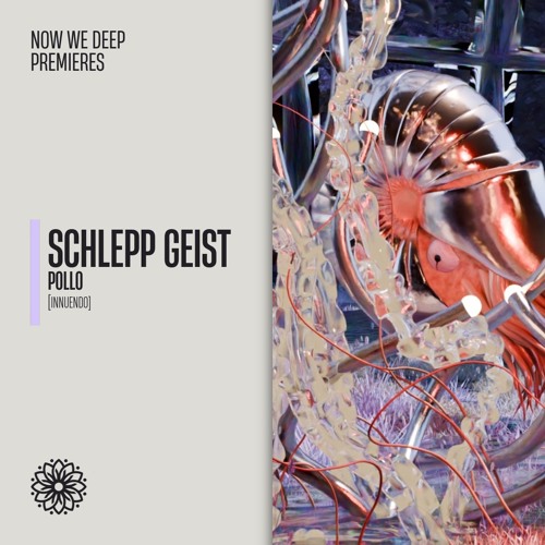 NWD PREMIERE | Schlepp Geist - Pollo [Innuendo]
