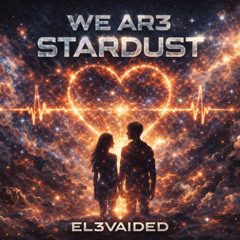 WE AR3 STARDUST