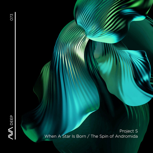 The Spin of Andromida