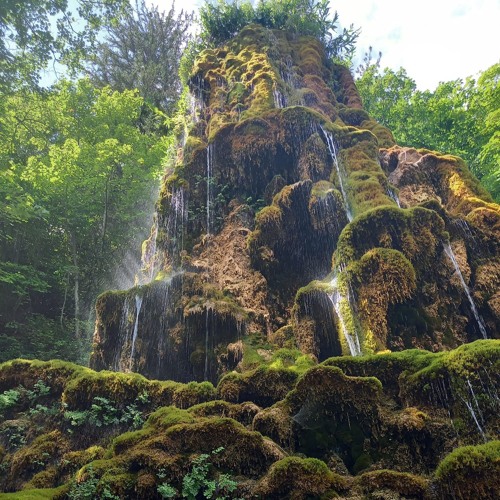 To the Trickling Monolith and Back