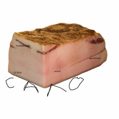 Sal0 ( feat. хohol, LiL Shnir, prod. Fumblerooski)