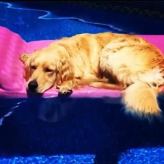 but that's alright (demo)