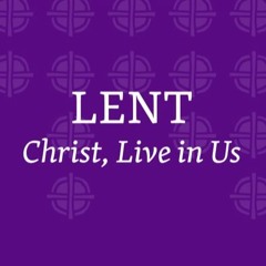Entering Lent with Christ in the Desert - 1st Sunday - Fr Michael Flowers 02.18.23