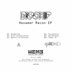 WeMe061 BIOCHIP.   A2 Acid Conqueration