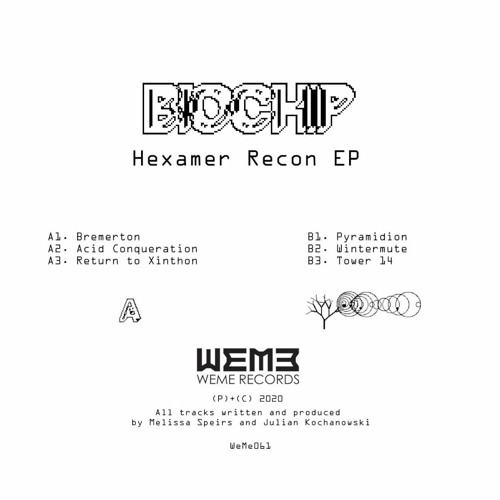 WeMe061 BIOCHIP.   A2 Acid Conqueration