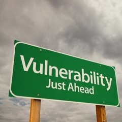 Vulnerability II