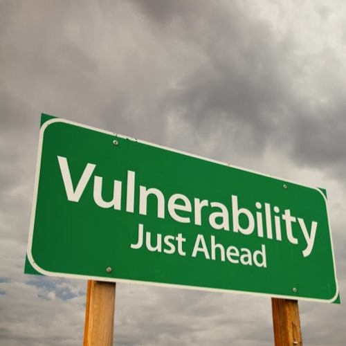 Vulnerability II