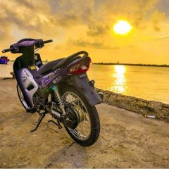 Alok - bibo