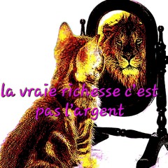 😹➡️🦁