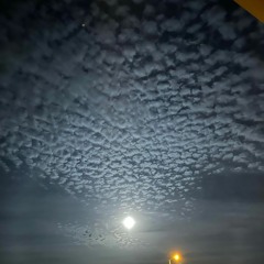 Everything you want is right here