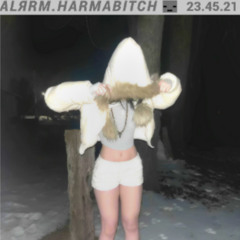 ALЯRM.HARMABITCH23.45.21