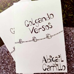 Colgando Versos Audio - Libro