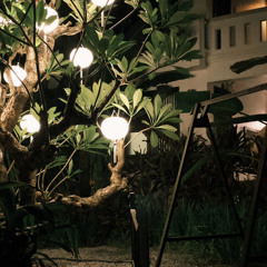 XIN CHÀO VIỆT NAM REMIX