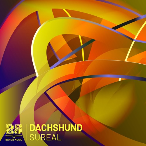 Dachshund - Atmosphere (Original Mix) [BAR25-177]