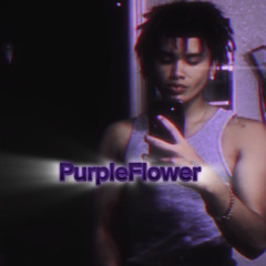 PurpleFlower (FreeStyle)