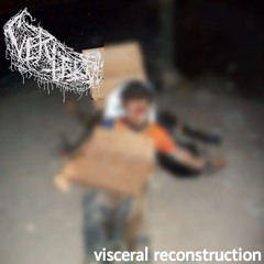 VERTEBRAE- VISCERAL RECONSTRUCTION