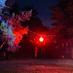 familyforest 2025